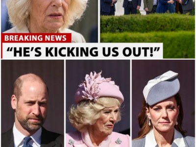 Prince William STUNS Camilla’s Family as Lawyers CONFIRM the Estate Is No Longer Theirs