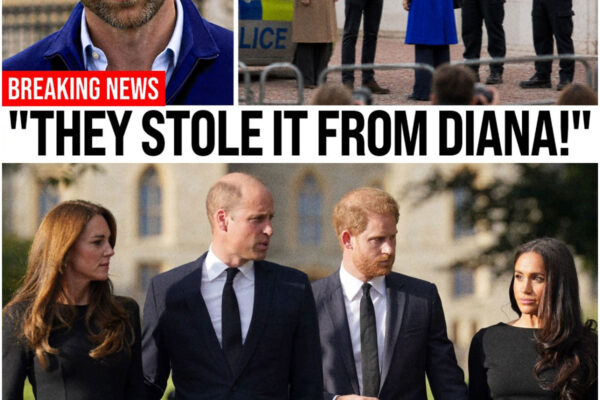 Royal Family Will Never Be the Same After What William Found in Camilla’s Daughter’s Jewelry Box