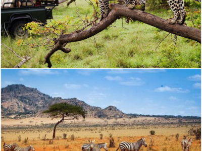 South Africa: A Land of Hidden Wonders
