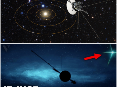 Voyager 1: Entering the Uncharted Territory of the Very Local Interstellar Medium
