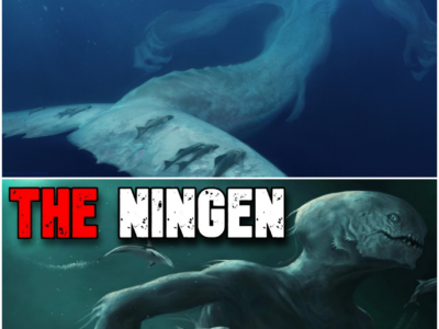 The Enigma of the Ningen: A Deep-Sea Mystery