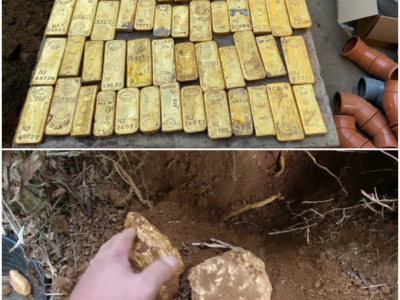 Builders Unearth €9 Million Gold Stash Sealed in Walls of Belgian Property