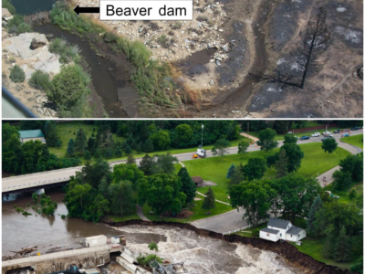 Operation Beaver Dam: Indiana City Races to Stop a Sewage Disaster