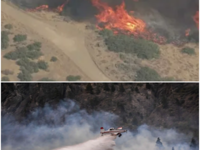 Wind-Driven Hawk Fire: A Growing Threat in Northern Nevada