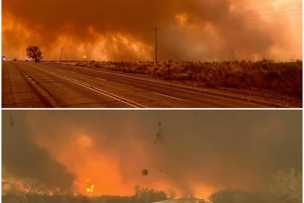 The Ross Fire: A Texas Inferno