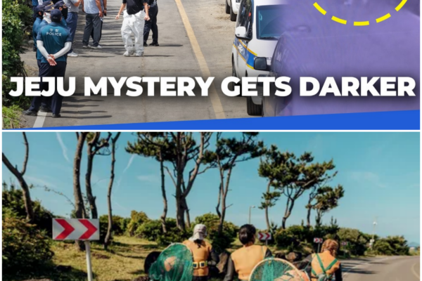 A Gripping Mystery Unfolds on Jeju Island: The Search for Truth