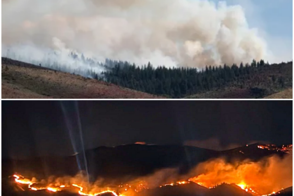 U.S. Wildfire Emergency: Hawk Fire Tops 15,000 Acres, 42,000 Under Evacuation Orders