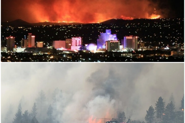 Hawk Fire Devastates Reno Area: A Community in Crisis