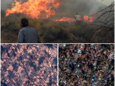 First Images Emerge of Damage Left by Massive Nevada Wildfire