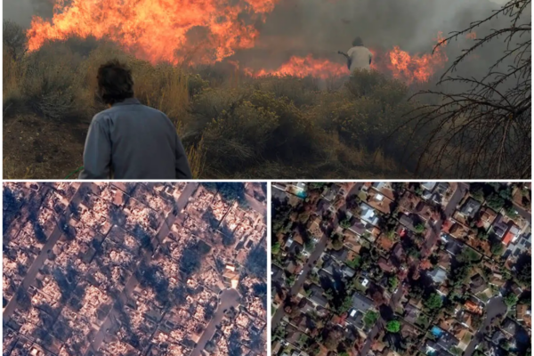 First Images Emerge of Damage Left by Massive Nevada Wildfire