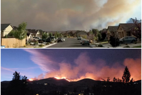 Reno Wildfire Horror: A Community in Crisis