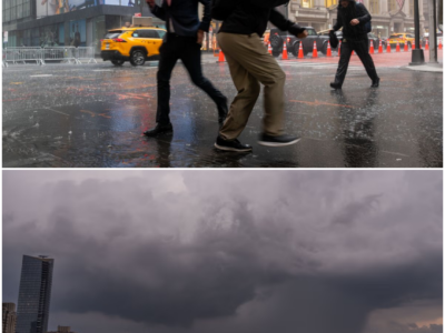 New York City Heavy Rain Walk: A Journey Through Nature’s Fury