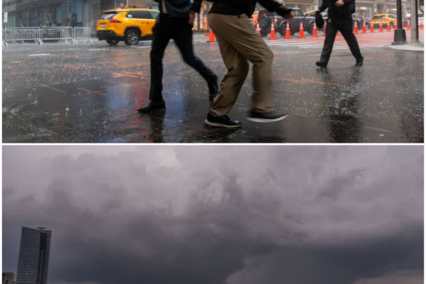 New York City Heavy Rain Walk: A Journey Through Nature’s Fury
