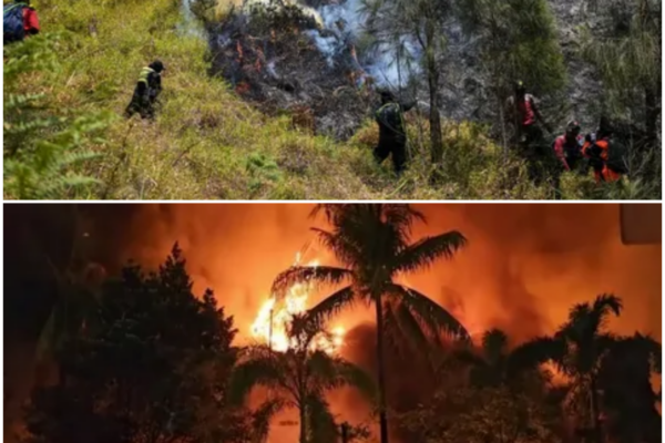 Indonesia’s Wildfire Crisis: A Nation Choked by Toxic Smoke