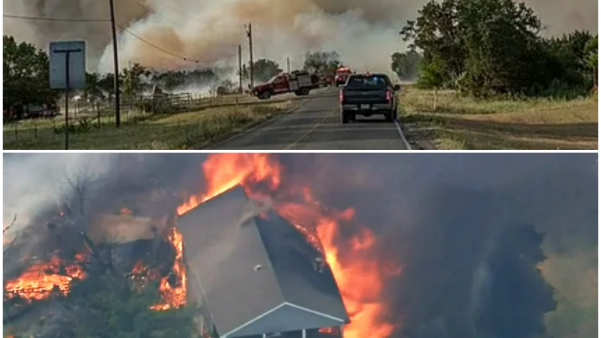 Destruction in Palo Pinto County: A Community’s Fight Against the Flames