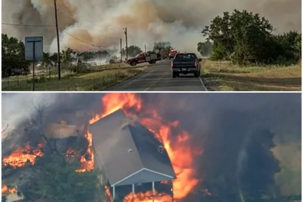 Destruction in Palo Pinto County: A Community’s Fight Against the Flames