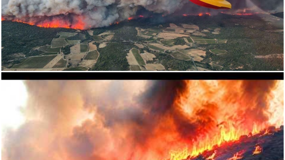 The Devastating Tornado in Southern France: A Summer of Unprecedented Weather