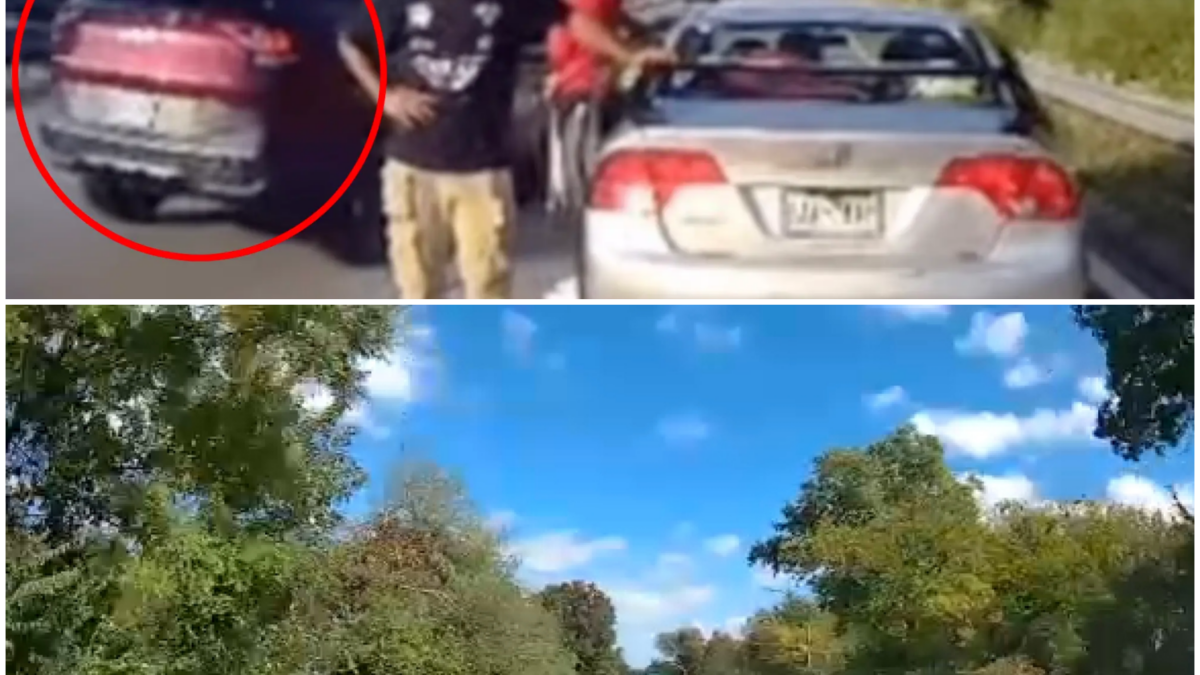 Viral Belt Parkway Crash Video Leads to Prison Sentences in Fraud Case