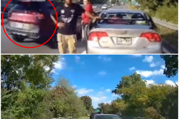 Viral Belt Parkway Crash Video Leads to Prison Sentences in Fraud Case