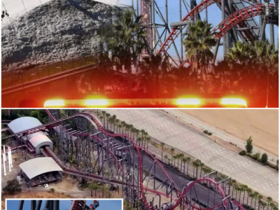 Roller Coaster Tragedies: The Dark Side of Thrill-Seeking at Six Flags Magic Mountain