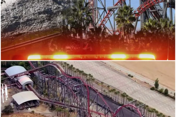 Roller Coaster Tragedies: The Dark Side of Thrill-Seeking at Six Flags Magic Mountain