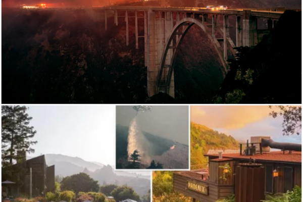Big Sur Wildfires: A Community Under Siege