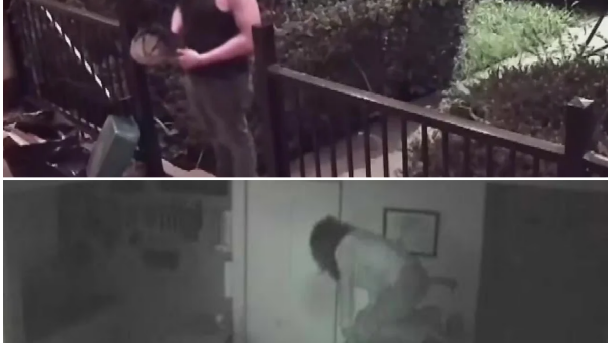 Intruder Caught on Camera: A Woman’s Terrifying Encounter