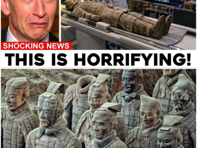 Unveiling the Secrets of the Terracotta Army: A Revolutionary Discovery