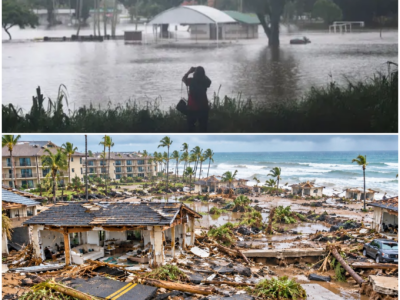 Chaos in Hawaii: Hurricane Lowell’s Devastating Impact on Kauai