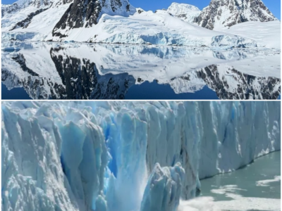 The Great Melt: A Deep Dive into the Climate Crisis