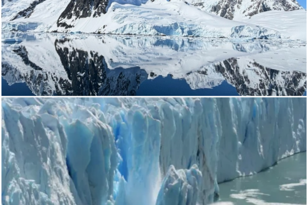 The Great Melt: A Deep Dive into the Climate Crisis