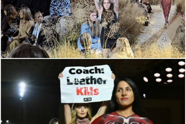 Fashion Executive Restraints PETA Protesters at New York Fashion Week