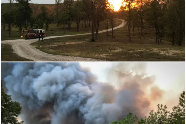 Arkansas Wildfire Threatens Munitions Bunkers: A Closer Look at the Bunker Fire