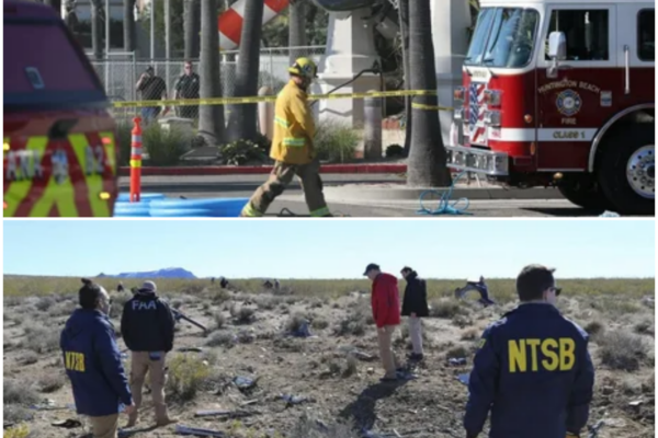 Investigating the Tragic Helicopter Crash in Los Angeles