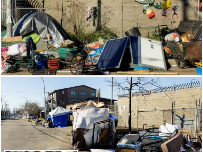 A Community in Crisis: The Leptospirosis Outbreak in Berkeley