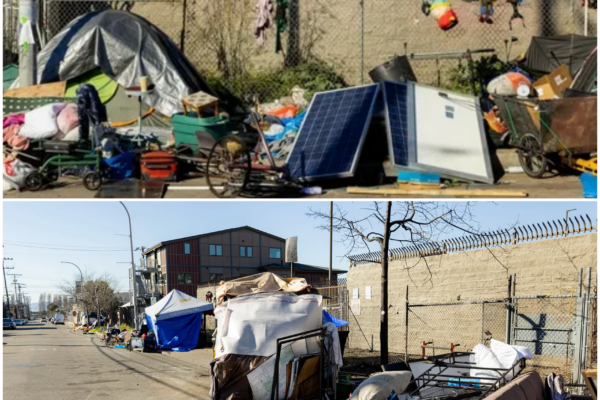 A Community in Crisis: The Leptospirosis Outbreak in Berkeley