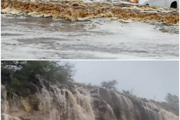 Major Flooding Hits Arizona: A State Under Siege