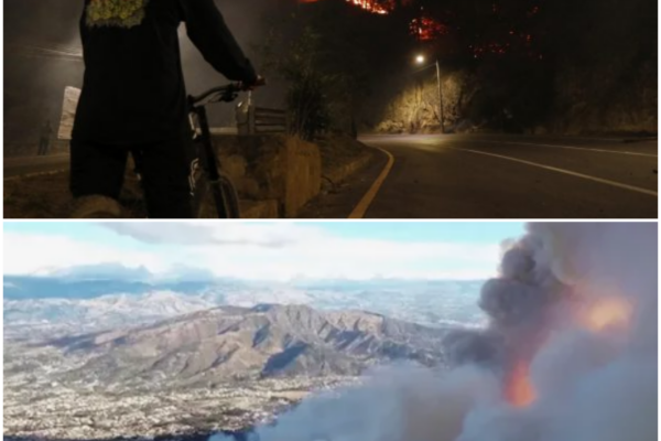 Quito Wildfire: A Catastrophe Unfolds in Ecuador’s Capital