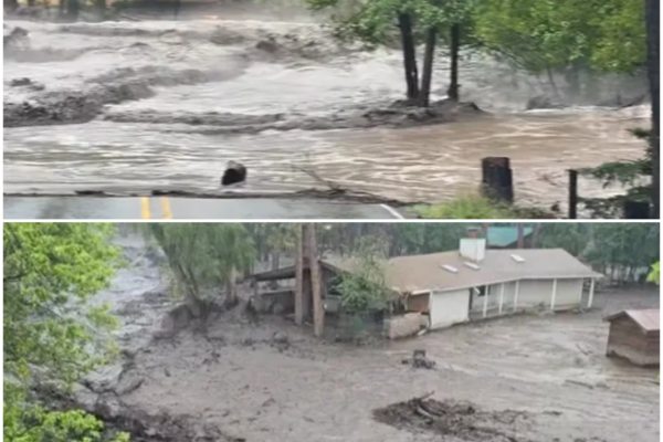 Flooding Leaves 3 de@d in Four Corners Region of New Mexico