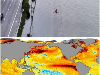 El Niño-Related Kelvin Wave: A Looming Threat to Southern California’s Coastline