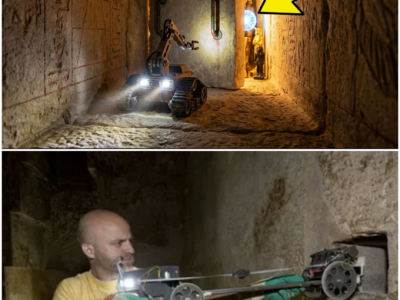 Unveiling the Secrets of the Great Pyramid: The Djedi Robot’s Groundbreaking Exploration