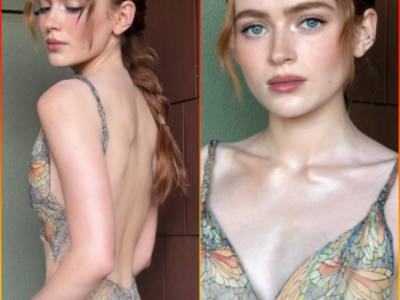 Sadie Sink’s Gorgeous 2004 Alexander McQueen Dress, a Fashion Masterpiece, but Fans Just Aren’t Feeling It