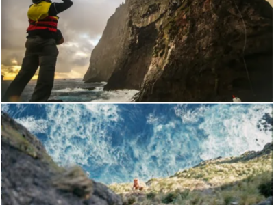Explorers Finally Reached Ball’s Pyramid — Nobody Expected What They Found