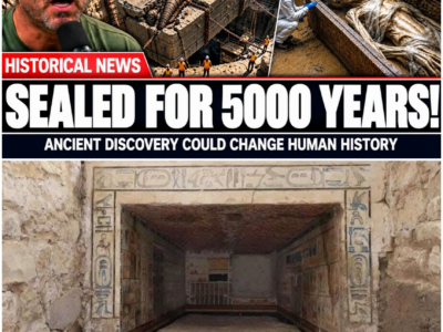 Unveiling the Secrets of a 4,000-Year-Old Egyptian Tomb: A Journey Through Time