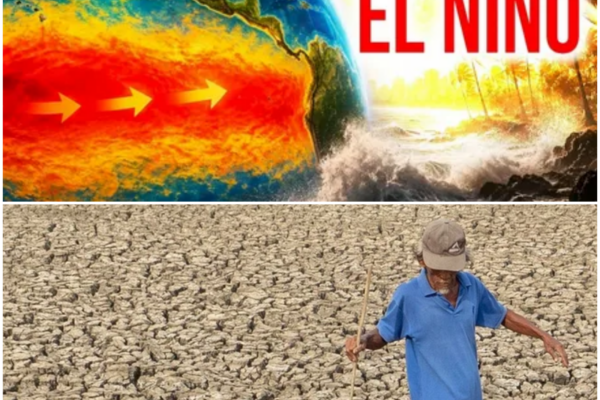 The Impending Impact of Climate Change: A Deep Dive into the “Supersized” El Niño