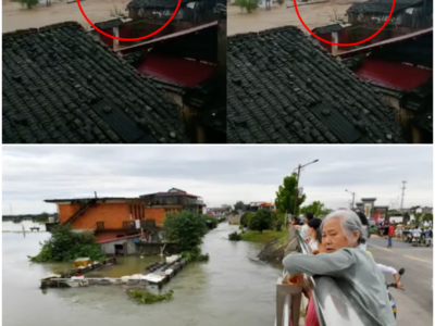 Massive Flood Chaos in Fujian, China: A Call for Attention