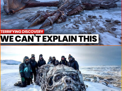 12 Terrifying Discoveries In Siberia’s Permafrost That Terrified The World