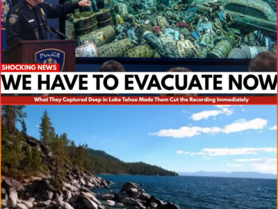 What They Captured Deep in Lake Tahoe Made Them Cut the Recording Immediately