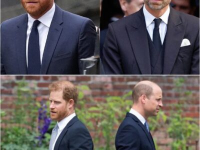 Prince William turns down Princess Diana doco to avoid ‘further conflict’ with Harry