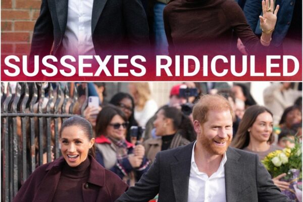 ‘Fake’: Harry and Meghan brutally mocked following first UK public engagement